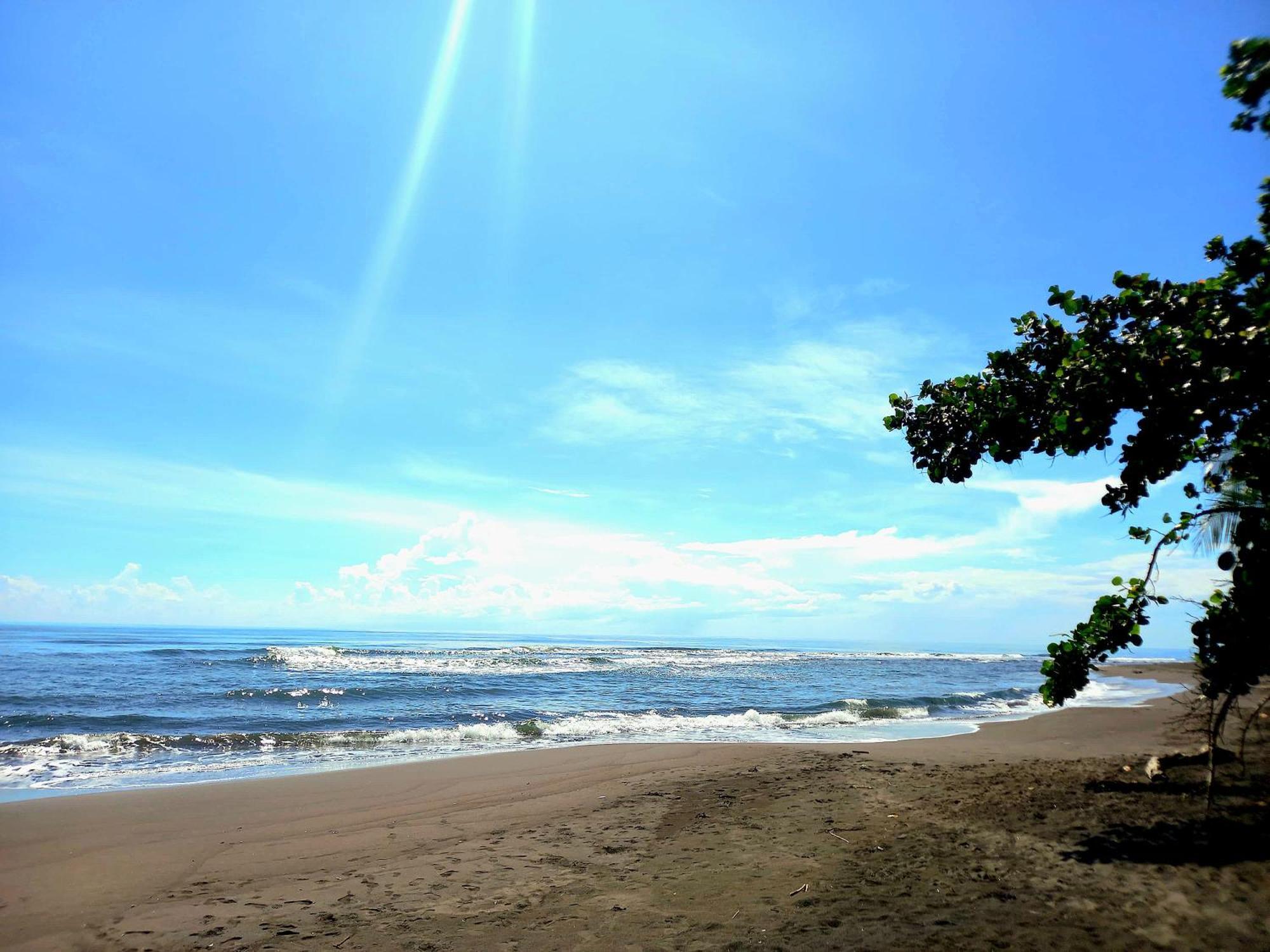 Tortuguero Adventures Beach House Экстерьер фото