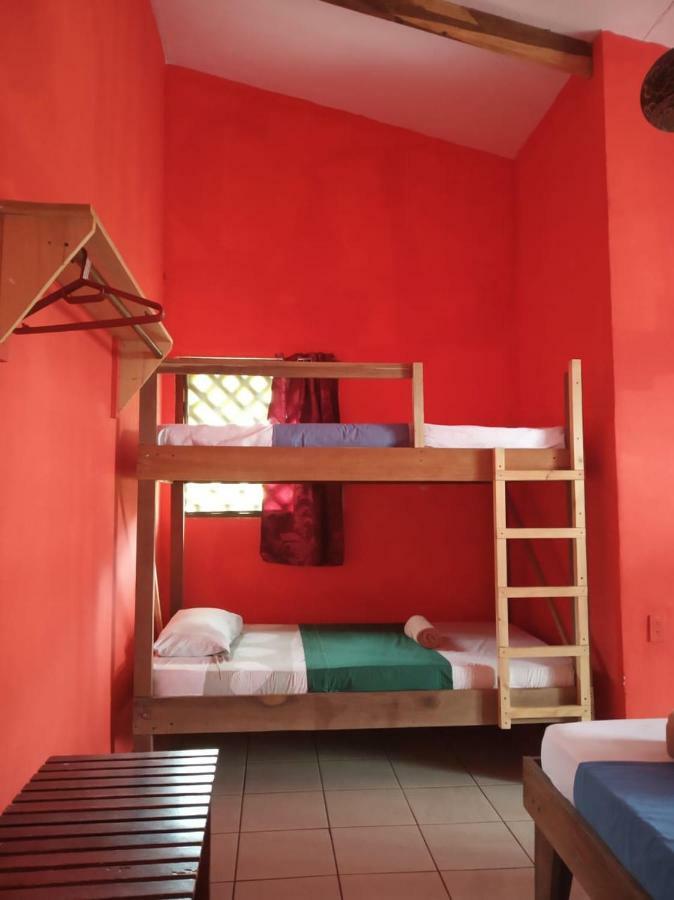 Tortuguero Adventures Beach House Экстерьер фото