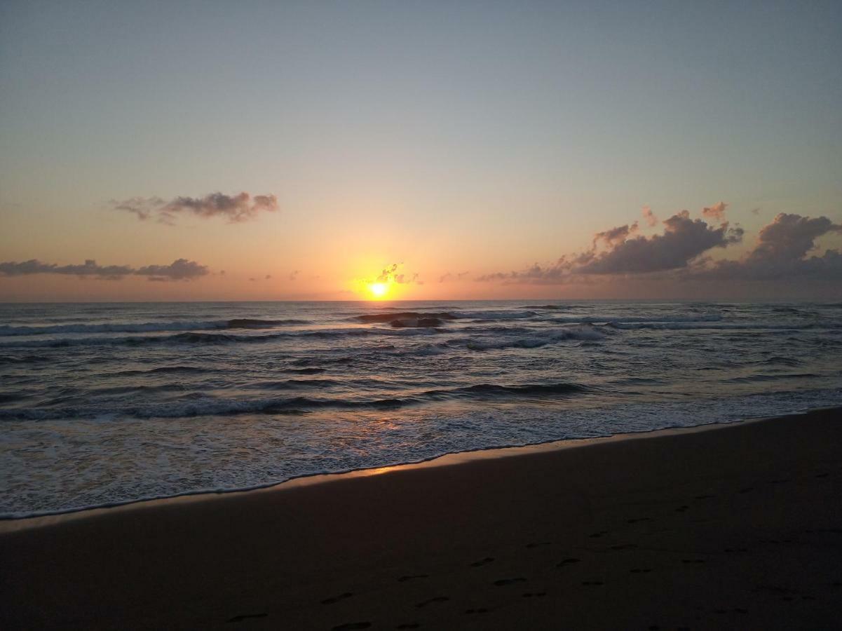 Tortuguero Adventures Beach House Экстерьер фото