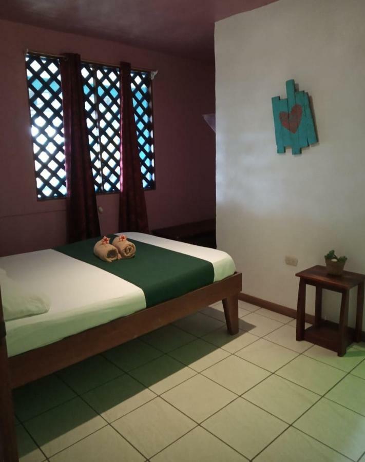 Tortuguero Adventures Beach House Экстерьер фото