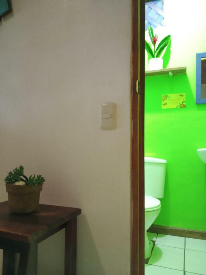 Tortuguero Adventures Beach House Экстерьер фото